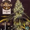 French Cookies - 5PACK - Feminised - T.H.Seeds