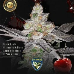 Red Candy Apple - 2-pack (Limited Edition) - Feminised - T.H.Seeds