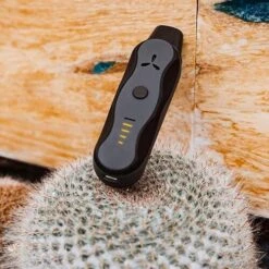 Airvape - XS GO -Uitgelichte Plantenzaadwinkel airvape xs go vape