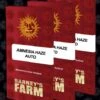 Amnesia Haze Auto - Feminised - Barney's Farm 1 Amnesia Haze Auto - Feminised - Barney's Farm -Uitgelichte Plantenzaadwinkel amnesia haze auto circle new 21 345995 2