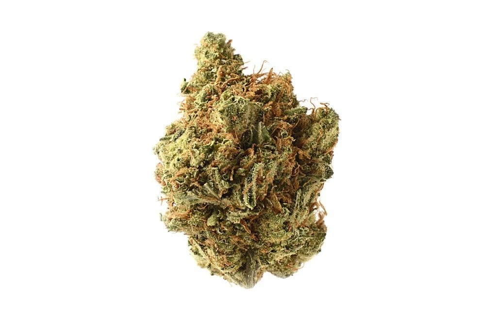 Amnesia Haze - 10-pack - Regular - Amsterdam Genetics 4 Amnesia Haze - 10-pack - Regular - Amsterdam Genetics - Afbeelding 2