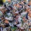 Animal Cookies - 12PACK - Regular - BC Bud Depot -Uitgelichte Plantenzaadwinkel animal cookies 2 bc bud depot