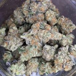 Animal Cookies - 12PACK - Regular - BC Bud Depot -Uitgelichte Plantenzaadwinkel animal cookies bc bud depot