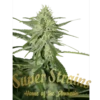 Automatic Fini - 5PACK - Feminised - Super Strains -Uitgelichte Plantenzaadwinkel automatic super strains