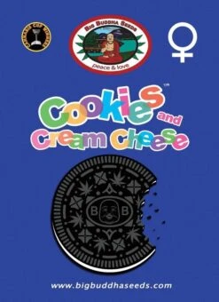 Cookies & Cream Cheese - Big Buddha Seeds -Uitgelichte Plantenzaadwinkel big buddha seeds cookies cream cheese f 1