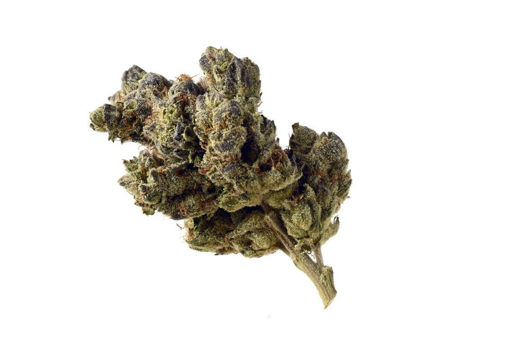 Blue Magic - 5PACK - Feminised - Amsterdam Genetics 4 Blue Magic - 5PACK - Feminised - Amsterdam Genetics - Afbeelding 2