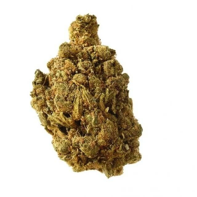 Blue Amnesia Auto - Feminised - Amsterdam Genetics 4 Blue Amnesia Auto - Feminised - Amsterdam Genetics - Afbeelding 2