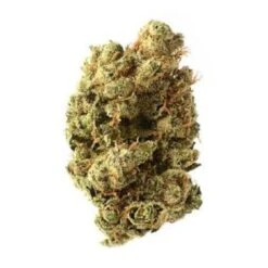 Blue Amnesia Haze - 5-pack - Feminised - Amsterdam Genetics