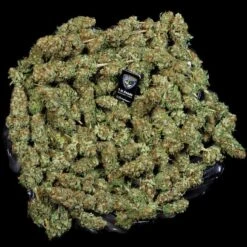 Bubblegum - 5PACK - Feminised - T.H.Seeds 11 Bubblegum - 5PACK - Feminised - T.H.Seeds -Uitgelichte Plantenzaadwinkel bubblegum1