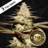CaliFunk - 5-pack - Feminised - T.H.Seeds