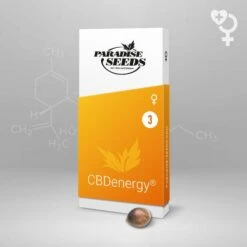 CBDenergy - Feminised - Paradise Seeds