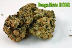 Durga Mata II CBD - Feminised - Paradise Seeds