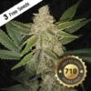 Hazanana - 5-pack - Feminised - T.H.Seeds