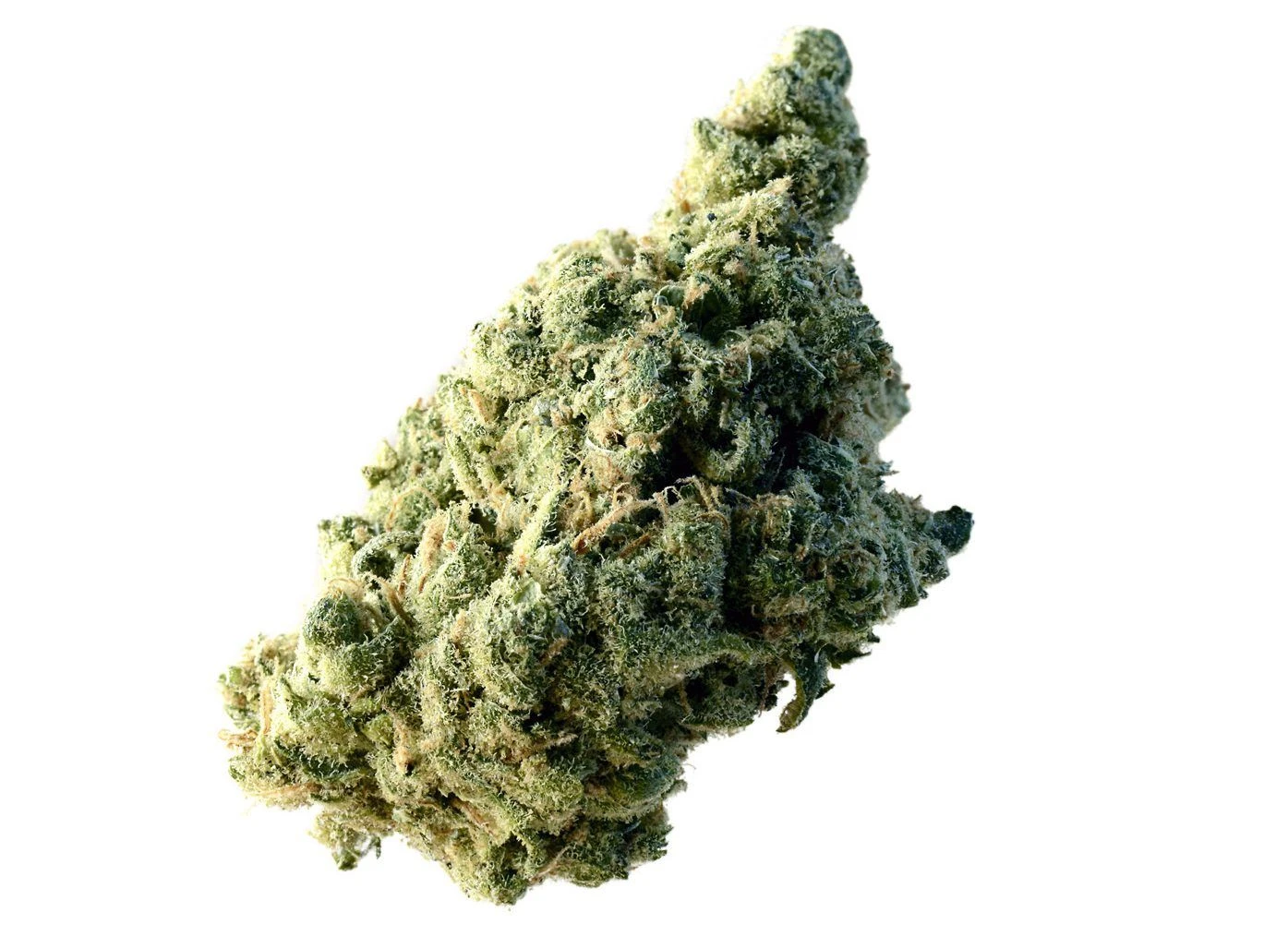 Lemon Ice - 5-pack - Feminised - Amsterdam Genetics 7 Lemon Ice - 5-pack - Feminised - Amsterdam Genetics - Afbeelding 5