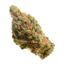 Lemon Haze - 5-pack - Feminised - Amsterdam Genetics