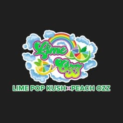 Lime Ozz - 6PACK - Feminised - Perfect Tree -Uitgelichte Plantenzaadwinkel lime ozz perfect tree