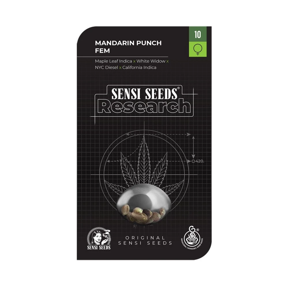 Mandarin Punch - Feminised - Sensi Seeds 3 Mandarin Punch - Feminised - Sensi Seeds