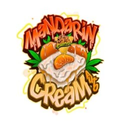 Mandarine Cream Autoflower - 5-pack - Feminised - Pure Instinto Seeds -Uitgelichte Plantenzaadwinkel mandarine cream