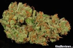 Moonshine Haze - 12PACK - Regular - Rare Dankness 9 Moonshine Haze - 12PACK - Regular - Rare Dankness -Uitgelichte Plantenzaadwinkel moonshinehaze 6