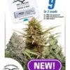 CBD Feminized Mix - 9PACK - Feminised - Dutch Passion -Uitgelichte Plantenzaadwinkel newcbdmix