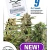 Fruity Autoflower Mix - 9PACK - Feminised - Dutch Passion -Uitgelichte Plantenzaadwinkel newfruitymix