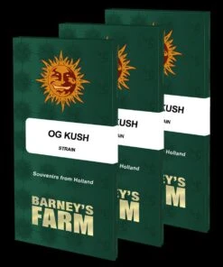 OG Kush - 5-pack - Feminised - Barney's Farm