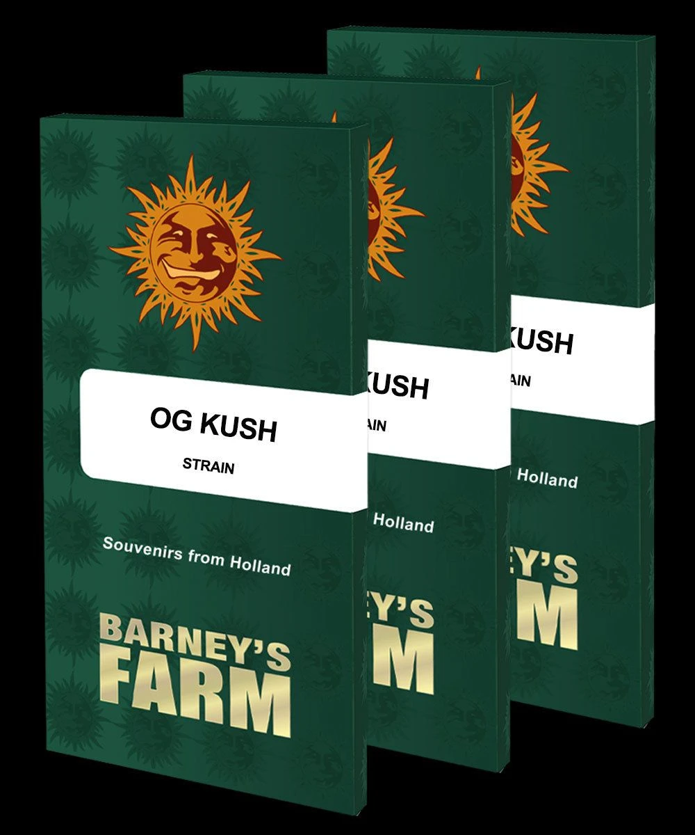 OG Kush - 5-pack - Feminised - Barney's Farm 3 OG Kush - 5-pack - Feminised - Barney's Farm