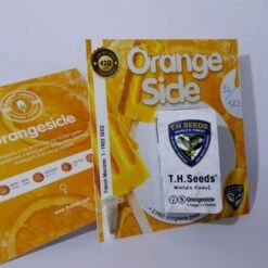Uitgelichte Plantenzaadwinkel -Uitgelichte Plantenzaadwinkel orangesicle 420 card1