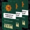 Pineapple Express - 5-pack - Feminised - Barney's Farm