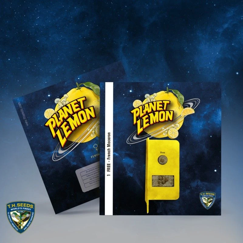 Planet Lemon - 6-pack - Feminised - T.H.Seeds 6 Planet Lemon - 6-pack - Feminised - T.H.Seeds - Afbeelding 4