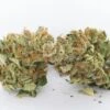 Dank Commander - 12PACK - Rare Dankness -Uitgelichte Plantenzaadwinkel rare dankness dank commander
