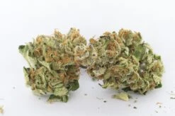 Dank Commander - 12PACK - Rare Dankness