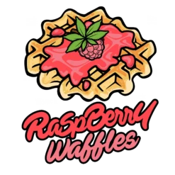 Raspberry Waffles (CBD) - 5PACK - Feminised - Devil's Harvest