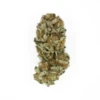 Royal Cookies - Feminised - Royal Queen Seeds -Uitgelichte Plantenzaadwinkel royal cookies 1