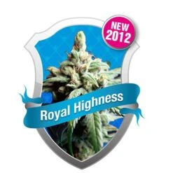 Royal Highness - Feminised - Royal Queen Seeds
