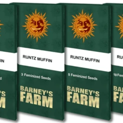 Runtz Muffin - 5-pack - Feminised - Barney's Farm