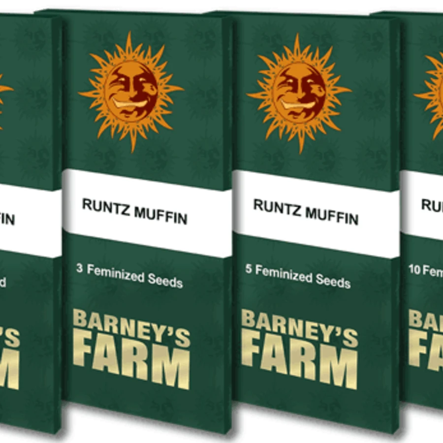 Runtz Muffin - 5-pack - Feminised - Barney's Farm 3 Runtz Muffin - 5-pack - Feminised - Barney's Farm
