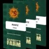 Runtz - 5-pack - Feminised - Barney's Farm -Uitgelichte Plantenzaadwinkel runtz circle new 21 702603