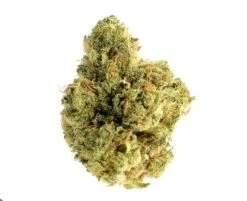 Skywalker Saga - 5-pack - Feminised - Amsterdam Genetics