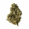 Strawberry Glue - 5PACK - Feminised - Amsterdam Genetics -Uitgelichte Plantenzaadwinkel strawberry glue fem amsterdam genetics