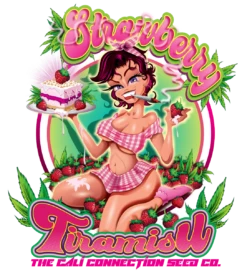 Strawberry Tiramisu - 6-pack - Feminised - Cali Connection -Uitgelichte Plantenzaadwinkel strawberry tiramisu