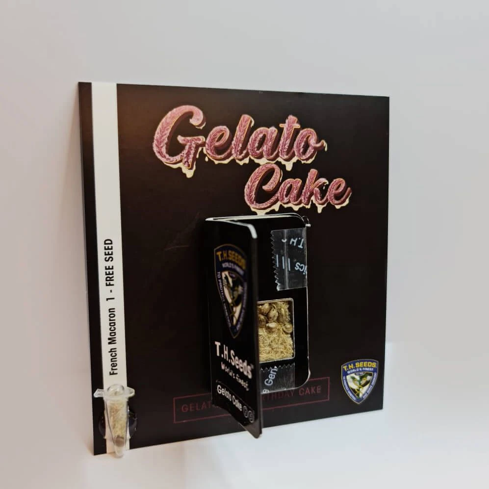 Gelato Cake - 5-pack - Feminised - T.H.Seeds 7 Gelato Cake - 5-pack - Feminised - T.H.Seeds - Afbeelding 5