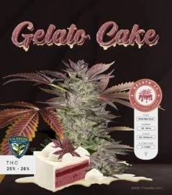 Gelato Cake - 5-pack - Feminised - T.H.Seeds 10 Gelato Cake - 5-pack - Feminised - T.H.Seeds -Uitgelichte Plantenzaadwinkel t.h.seeds gelato cake promo
