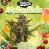 Melonsicle - 5-pack - Feminised - T.H.Seeds -Uitgelichte Plantenzaadwinkel t.h.seeds melonsicle promo