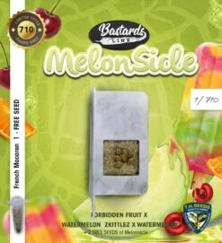 Melonsicle - 5-pack - Feminised - T.H.Seeds -Uitgelichte Plantenzaadwinkel t.h.seeds melonsicle seed pack front