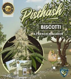 Pisthash - 5-pack - Feminised - T.H.Seeds -Uitgelichte Plantenzaadwinkel t.h.seeds pisthash promo