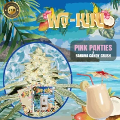 Wy-Kiki - 5-pack - Feminised - T.H.Seeds 9 Wy-Kiki - 5-pack - Feminised - T.H.Seeds -Uitgelichte Plantenzaadwinkel t.h.seeds why kiki promo