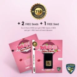 M.O.B - 5PACK - Feminised - T.H.Seeds 17 M.O.B - 5PACK - Feminised - T.H.Seeds -Uitgelichte Plantenzaadwinkel t.h.seeds mob promo cards