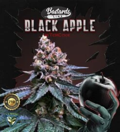 Black Apple Hitchcock - 5PACK - Feminised - T.H.Seeds 14 Black Apple Hitchcock - 5PACK - Feminised - T.H.Seeds -Uitgelichte Plantenzaadwinkel t.h.seeds black apple hitchcock 710 promo
