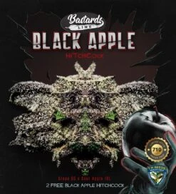 Black Apple Hitchcock - 5PACK - Feminised - T.H.Seeds 16 Black Apple Hitchcock - 5PACK - Feminised - T.H.Seeds -Uitgelichte Plantenzaadwinkel t.h.seeds black apple hitchcock 710 promo3